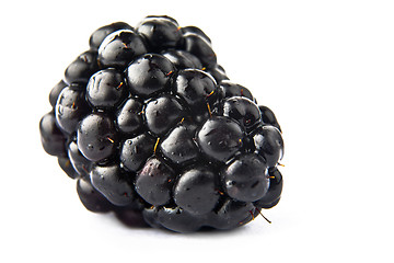 Image showing A black berry on a white background