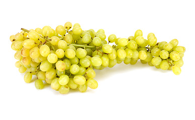 Image showing grape
