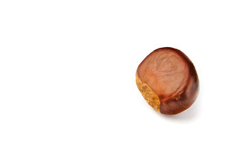 Image showing Chestnut on a white background