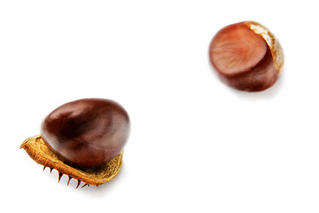 Image showing Chestnuts on a white background in autumn