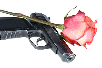 Image showing gun and rose