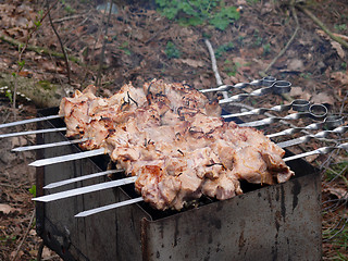 Image showing kebab