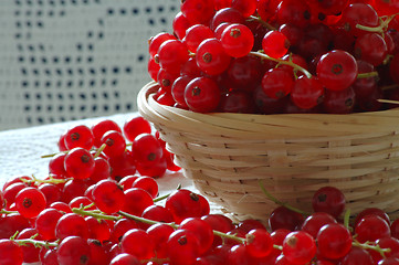 Image showing Red currant in a basket