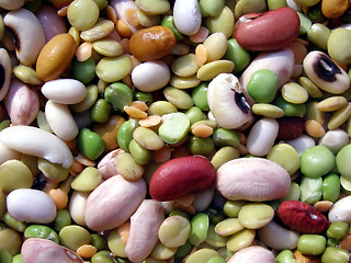 Image showing Beans