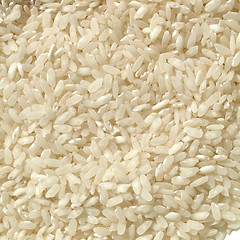 Image showing Rice