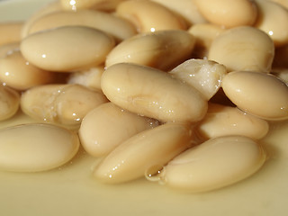 Image showing Beans