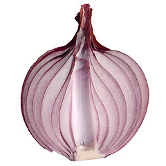 Image showing Onion