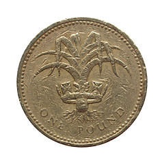 Image showing Pounds