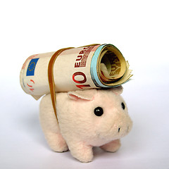 Image showing Pig with money