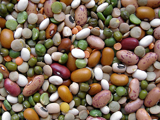 Image showing Beans