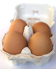 Image showing Eggs