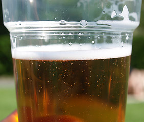 Image showing Pint of beer