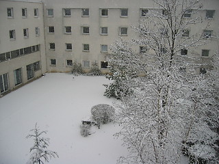 Image showing Snow falling