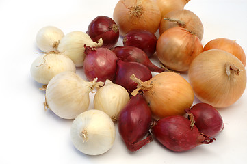 Image showing Colorful onion