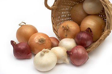 Image showing Colorful onion in a basket