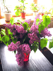 Image showing lilac in a vase