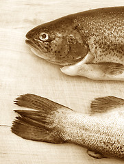 Image showing Fish