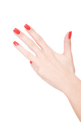 Image showing Female hand on a white background