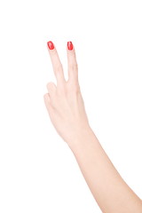 Image showing Female hand on a white background