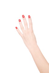 Image showing Female hand on a white background