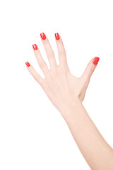 Image showing Female hand on a white background