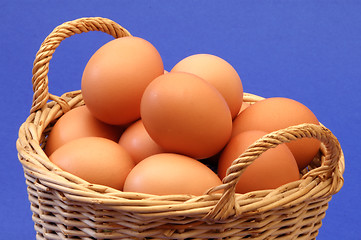 Image showing Eggs in a basket