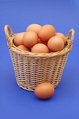 Image showing Eggs in a basket