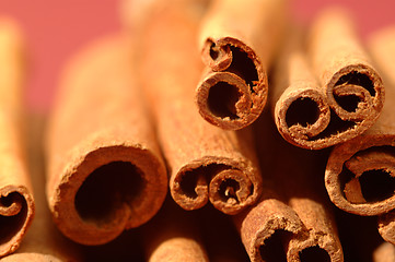 Image showing Cinnamon