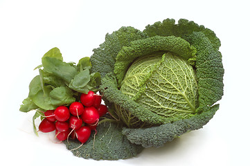 Image showing Cabbage and radish