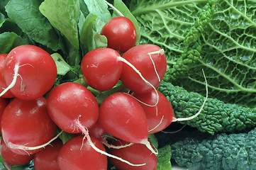 Image showing Radish and cabbage