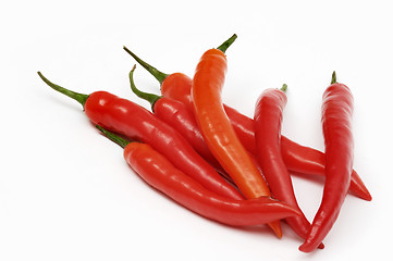 Image showing Chili peppers