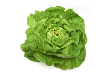 Image showing Lettuce