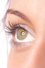 Image showing Beautiful woman eyes