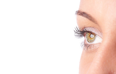 Image showing Beautiful woman eyes