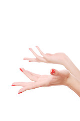 Image showing Beautiful female hands