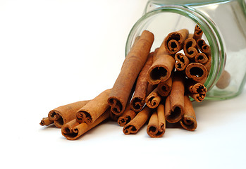 Image showing Cinnamon