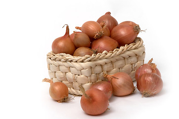 Image showing Onion in the basket