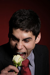 Image showing  Young happy smiling handsome man with rose