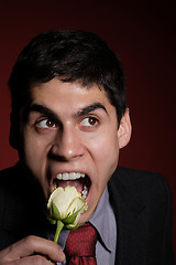 Image showing  Young happy smiling handsome man with rose