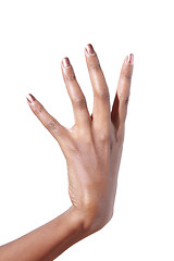 Image showing Elegant female hand