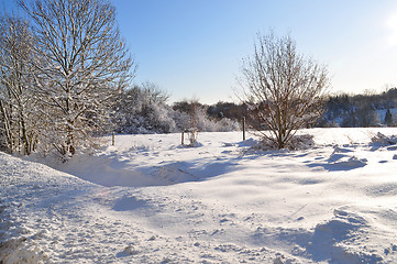 Image showing Winter