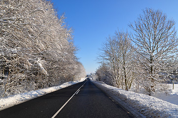 Image showing Winter