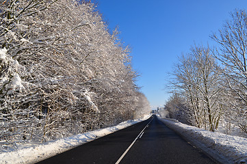 Image showing Winter