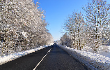 Image showing Winter