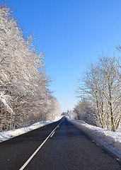 Image showing Winter