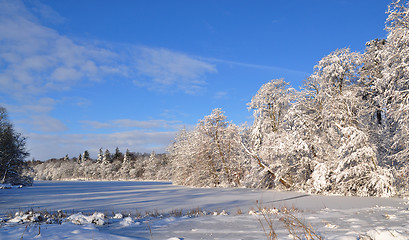 Image showing Winter