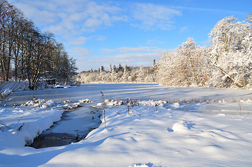 Image showing Winter