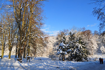 Image showing Winter