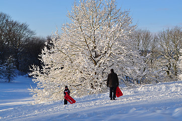 Image showing Winter