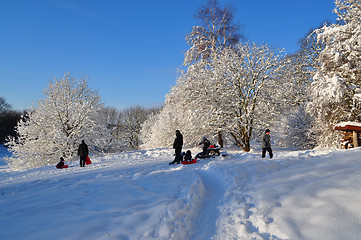 Image showing Winter